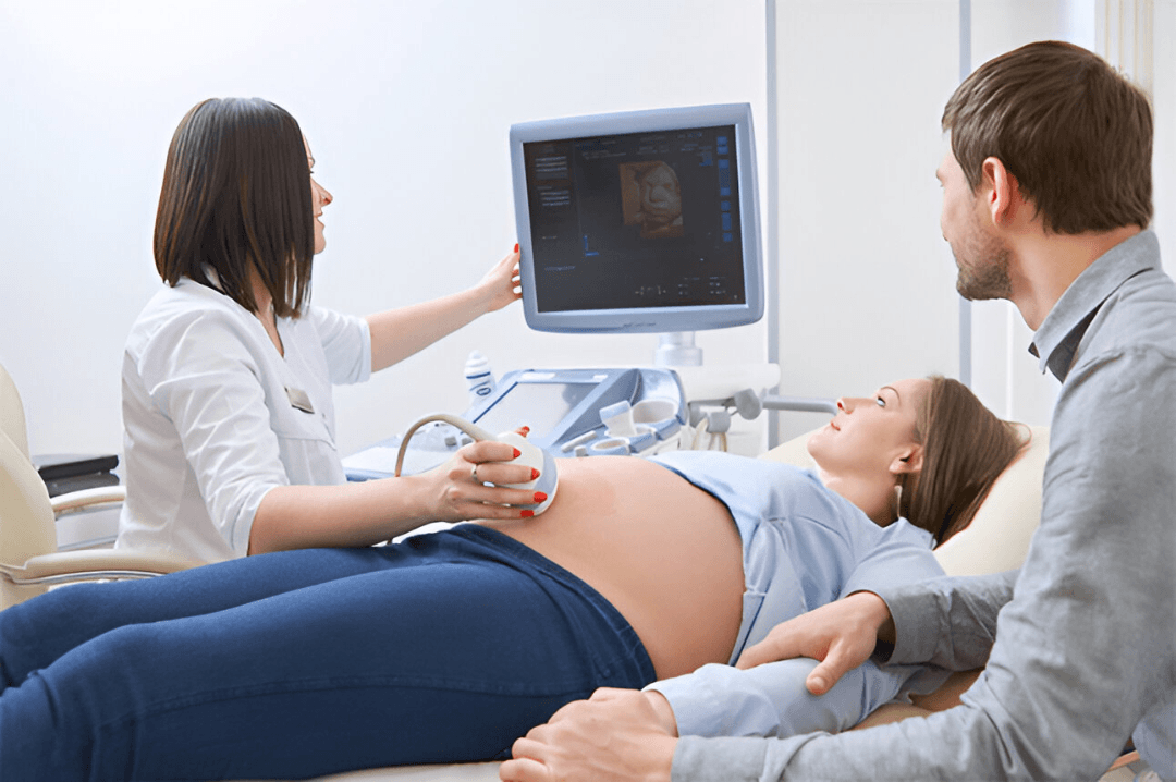 Fertility and IVF Team