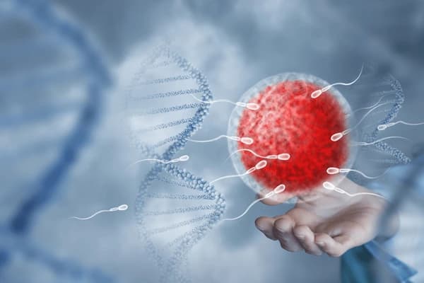 Fertility Workup Treatment in Gurgaon