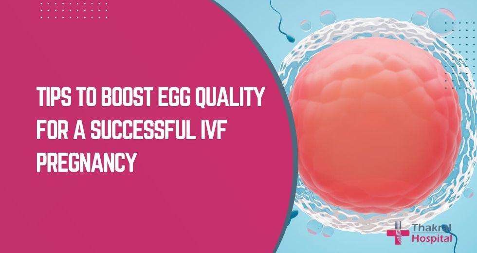 Tips to Boost Egg Quality
