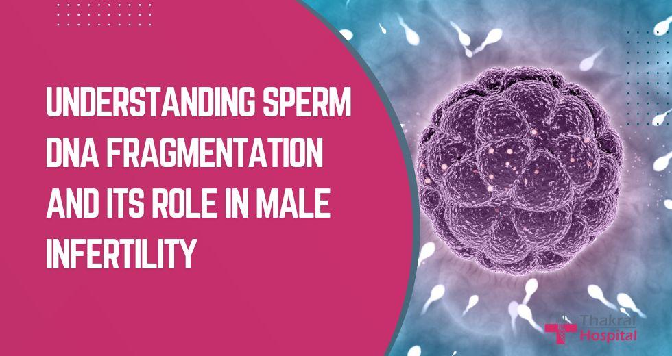 Sperm DNA Fragmentation